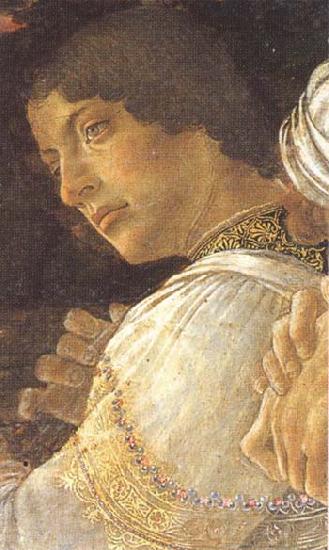 Sandro Botticelli Young kneeling mago France oil painting art